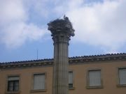 Llegó la cigüeña